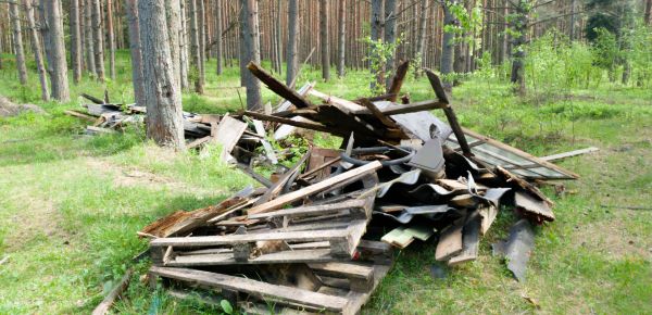 Debris Removal Service in Everett